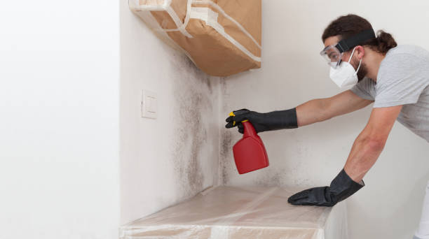 Professional Mold Removal technician working in Islip, NY